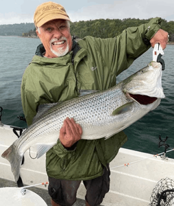 Beaver Lake Fishing Report – September 15, 2022 | Curt Goff Striper Guide