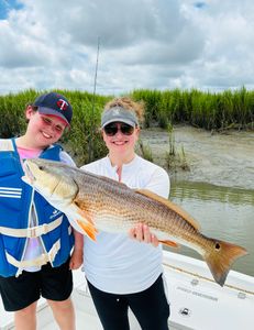 Big reds are chewing 