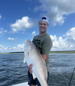 Hilton Head Fishing Report