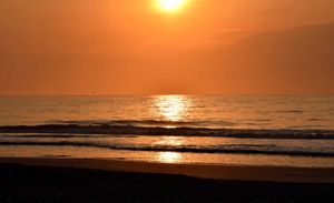 Things To Do In Hilton Head