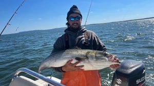 The Only Jig Heads Jordi Sport Fishing =Uses The Best Clothing 