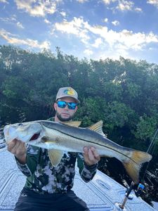 Fishing Trips in Tampa Bay