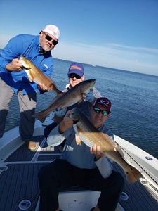 day fishing trip in Tampa Bay, Fl