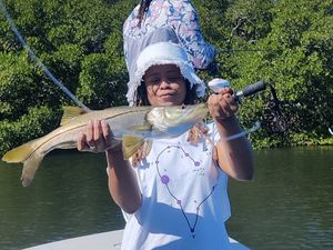 good size Snook fish from Tampa Bay, Fl waters