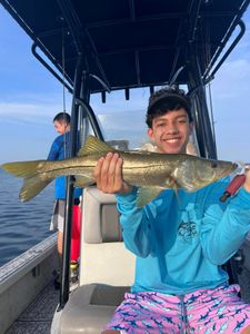 Experience the Ultimate Thrill: Snook Fishing!