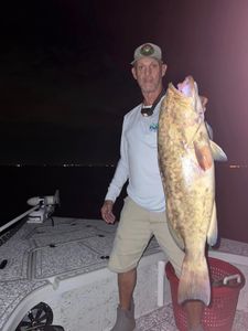 Dive into the Best Tampa Bay Fishing Spots!