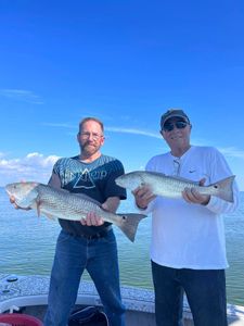 Explore the Beauty of Tampa Bay Fishing!