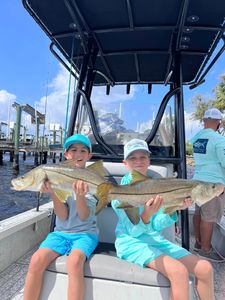 Dive into the Best Snook Fishing Spots in Tampa!