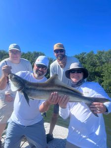 Experience Thrilling Tampa Bay Fishing
