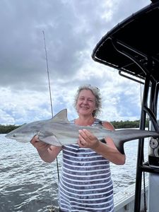 Chart a Course for Success: Tampa Bay Fishing!