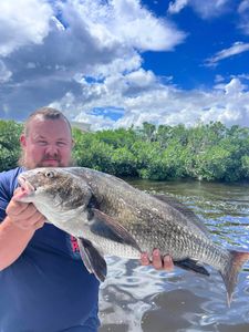 Discover the Magic of Tampa Bay Fishing