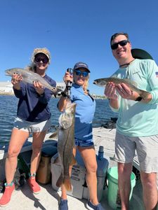 Top-Five Snook Day and Open Dates Next Week