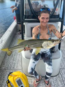 Tampa Bay Fishing