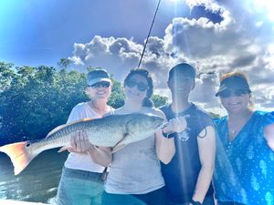 Redfish Season in Florida Waters
