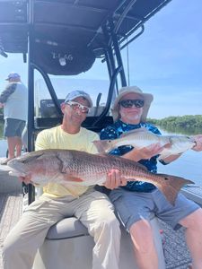 Tampa Bay Red Fish