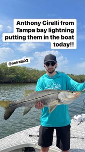 Anthony Cirelli catching Snook in Tampa Bay,Fl