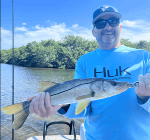 Tampa Snook Action!