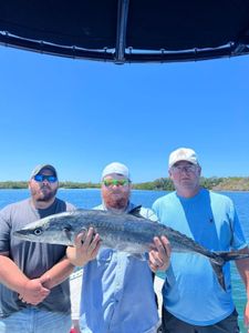 Best King Mackerel Fishing in Tampa Bay