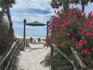 Things To Do in Wrightsville Beach, NC