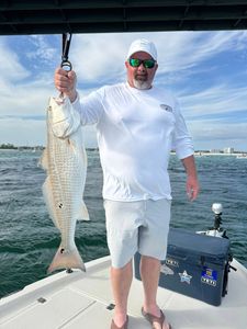 Captain Gil and crew putting clients on quality fish consistently