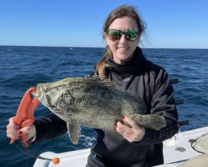 Orange Beach fishing Report