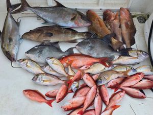 May 17 group trip filled red grouper and snapper action