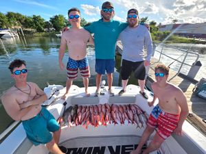 Solid limit catch on a productive offshore trip