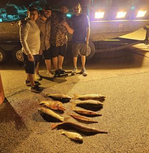 Lake Amistad Fishing Report