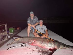 Night Bowfishing Heats Up with Clear Water and Active Targets