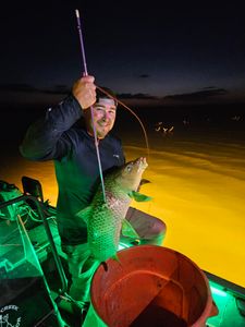 Lake Amistad Family Bowfishing Night Trip
