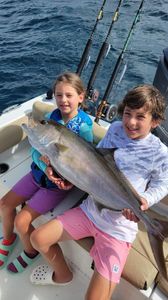 Greater Amberjack
