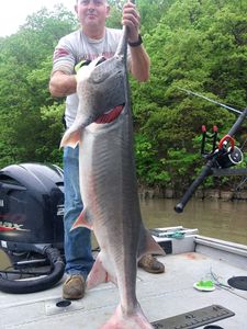 Limited Availability — Book Now