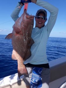 Grouper from Gulf of Mexico, FL
