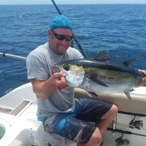 Yellowfin Tuna from  St. Petersburg, FL
