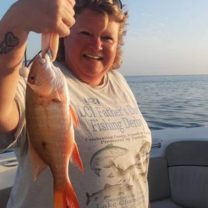 Best Gulf of Mexico Snapper Fishing