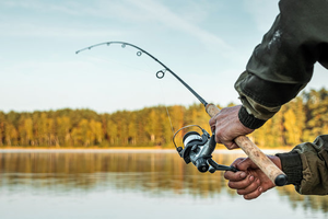 Wreck Fishing Adventure: Florida City Spring Evening Action