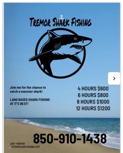Navarre FL Shark Fishing Charter: Land-Based Shark Fishing