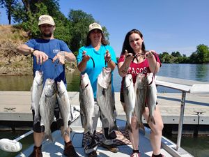 Striped Bass Fishing in Feather River