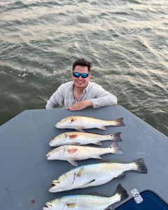 Windy Morning Win With a Heavy Gator Trout