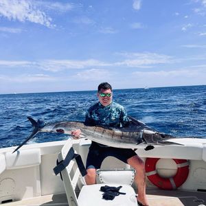 Striped Marlin Double and a Pancho Cameo