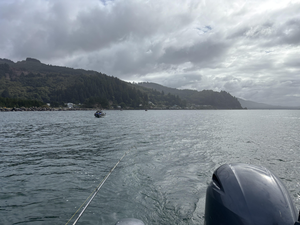 Fassiottos Guide Service: Chinook & Coho Salmon Action This Fall