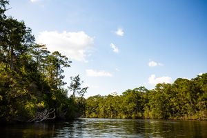 5-Hour Blackwater Bay & River Family Adventure