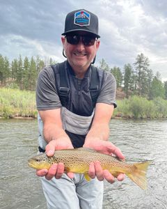 Blue Quill Angler Trip, CO - What That Vise Do