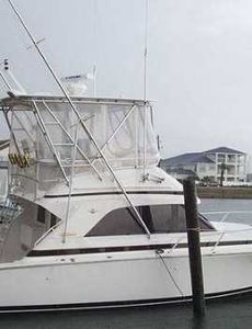 Galveston fishing charters