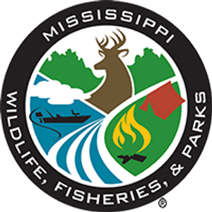 Get Your Valid Mississippi Fishing License
