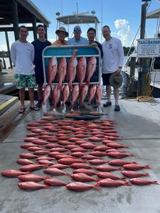 Shark Frenzy on an Action-Packed All Day Charter 🦈🎣