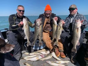 Walleye in St. Clair River, Michigan
