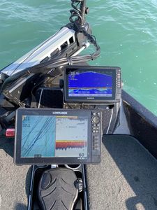 Targeting our next Trophy in Lake Erie