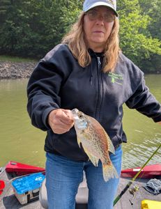 Crappie fishing clarion reservior
