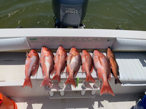Pensacola Fishing Report 